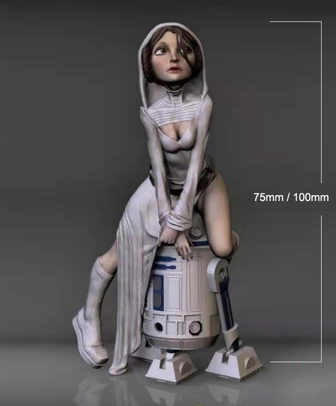 Наборы моделей из смолы, 1/24, – обзор и цена Model Kit Mecha Girl