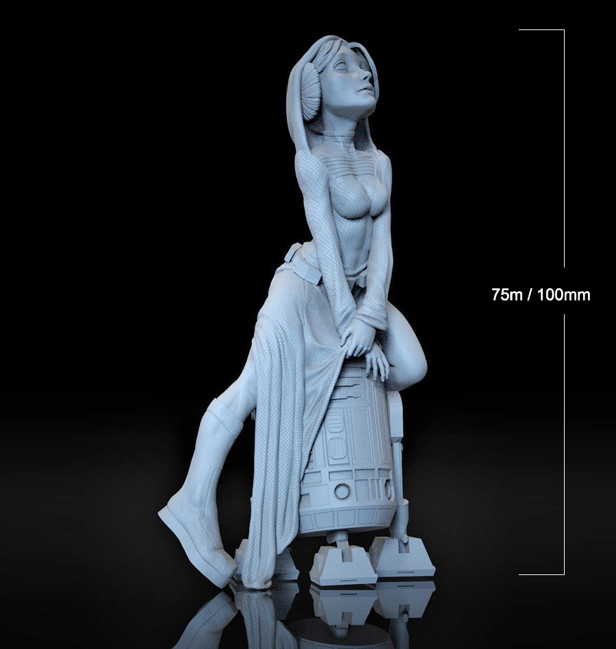Наборы моделей из смолы, 1/24, – обзор и цена Model Kit Mecha Girl